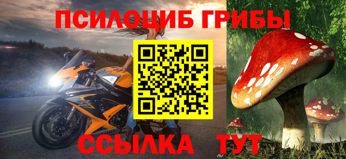 Усолье-Сибирское  Псилоцибиновые грибы Psilocybe  где купить наркоту  Вход с VPN 